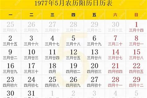 94年属狗 五行|94年属狗是什么命 94年属狗的是什么命